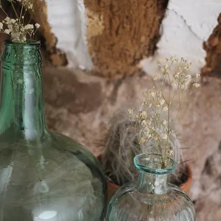 El Baluard Apartment *